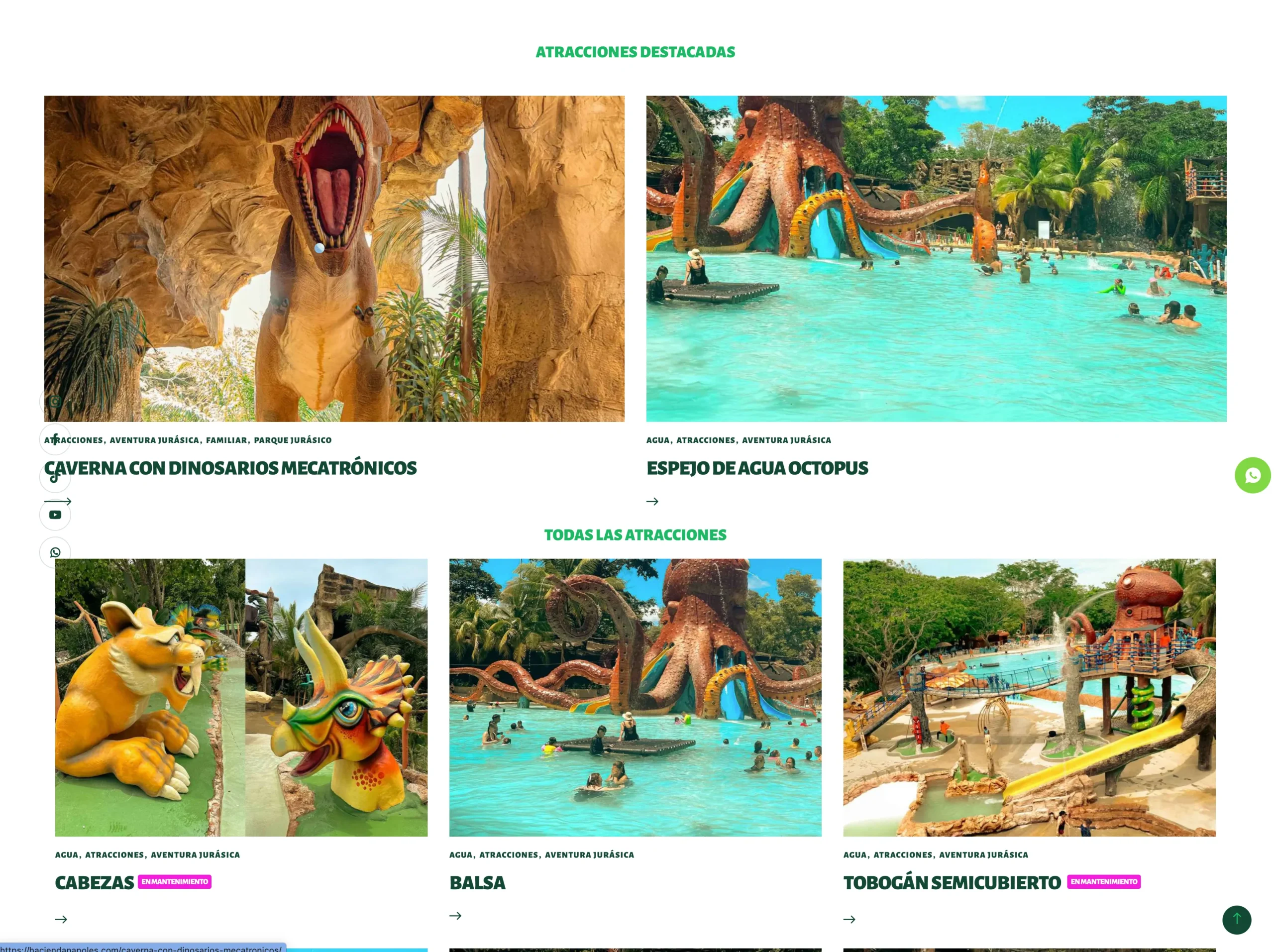 octopus hacienda napoles